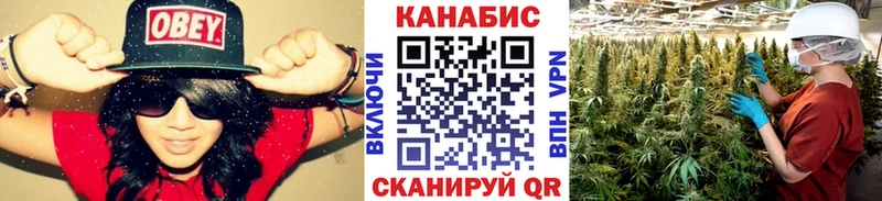 Марихуана гибрид Чайковский